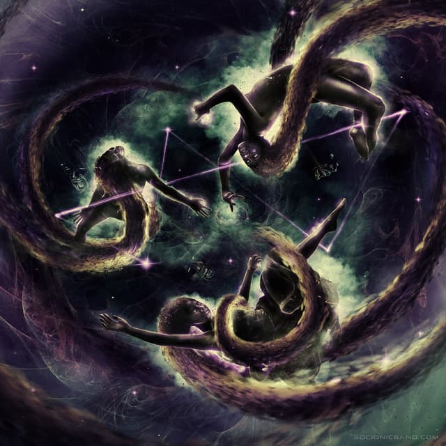 Ignorant Idiot - Socionic identity artwork